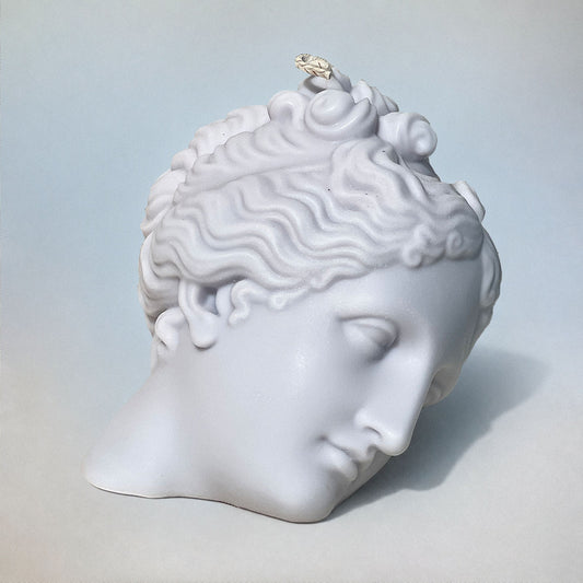 VENUS FLAME （Coming Soon）