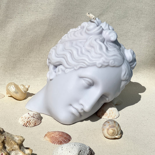 VENUS FLAME （Coming Soon）