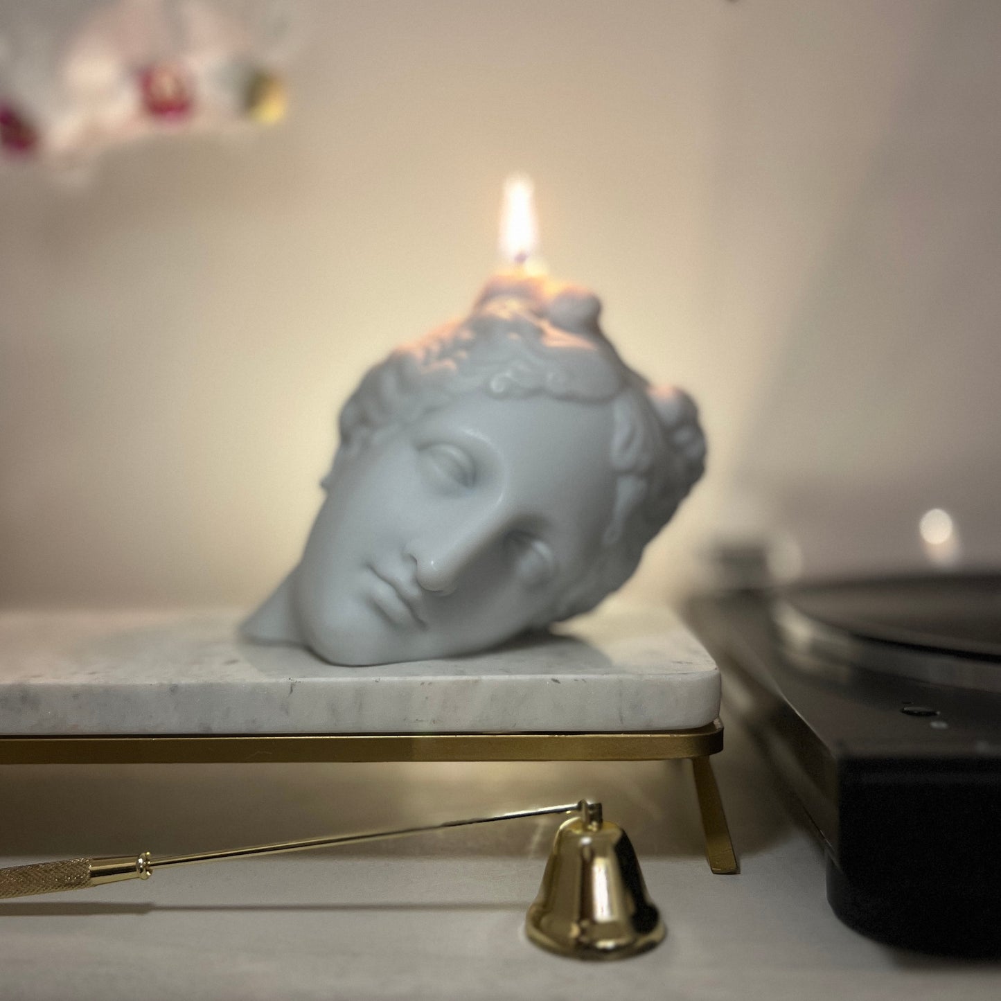 VENUS FLAME （Coming Soon）